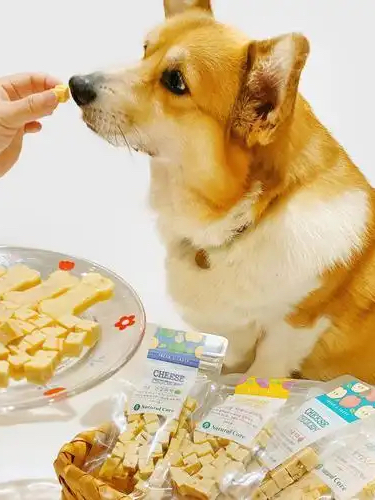 宠物食品加工与包装